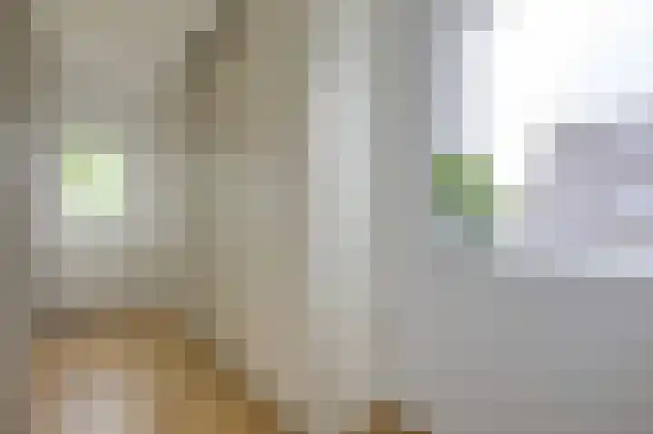 Groeneweide 1 Duiven thumbnail 43