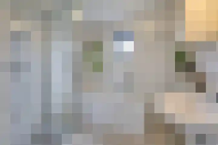 Groeneweide 1 Duiven thumbnail 45