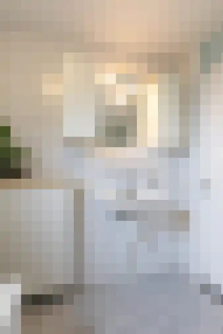 Groeneweide 1 Duiven thumbnail 47