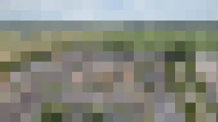 Groeneweide 1 Duiven thumbnail 5