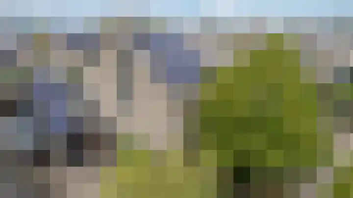 Groeneweide 1 Duiven thumbnail 6
