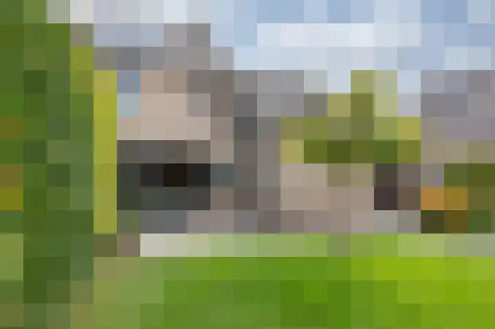 Groeneweide 1 Duiven thumbnail 62