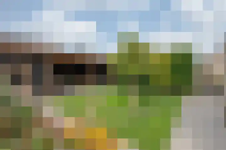 Groeneweide 1 Duiven thumbnail 64