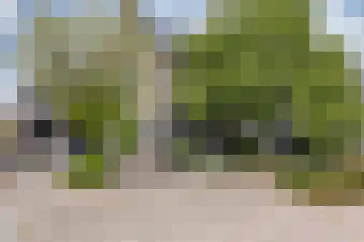 Groeneweide 1 Duiven thumbnail 7