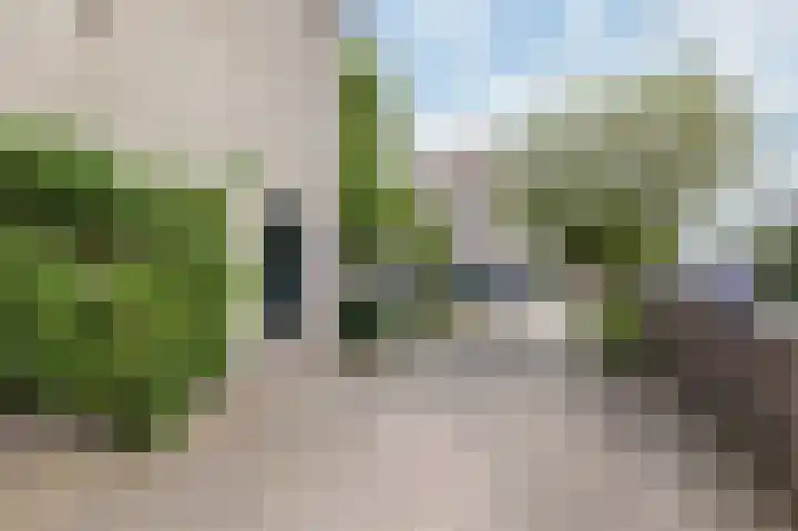 Groeneweide 1 Duiven thumbnail 72
