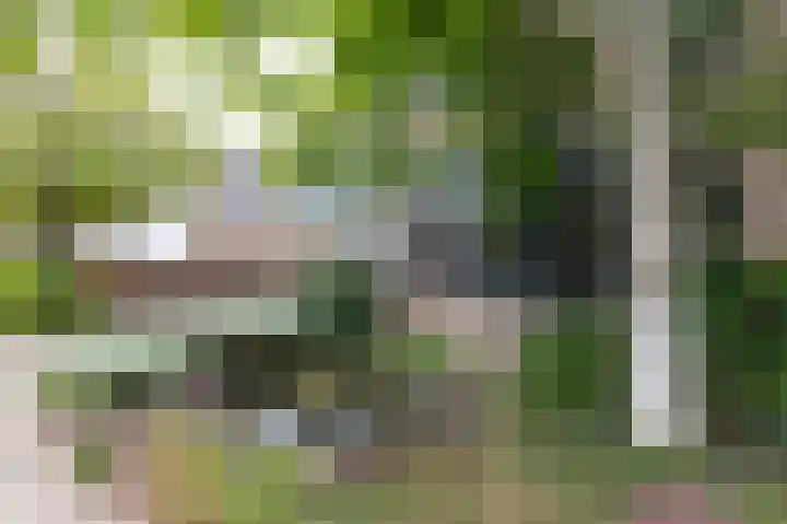Groeneweide 1 Duiven thumbnail 73