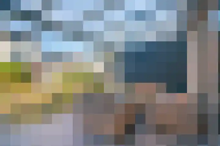 Groeneweide 1 Duiven thumbnail 79