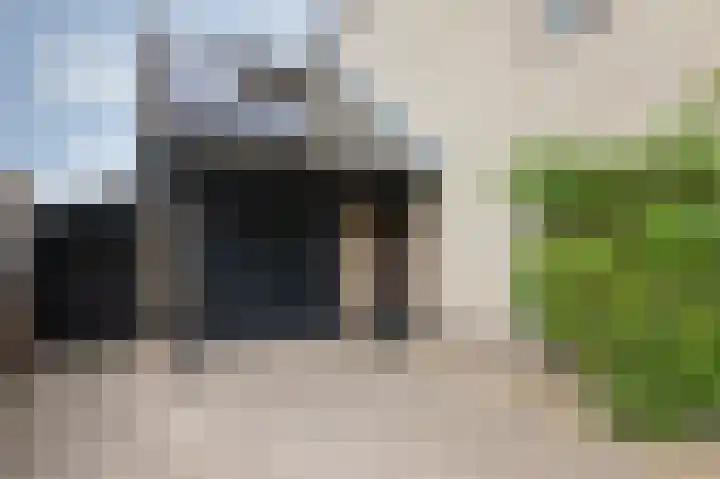Groeneweide 1 Duiven thumbnail 8