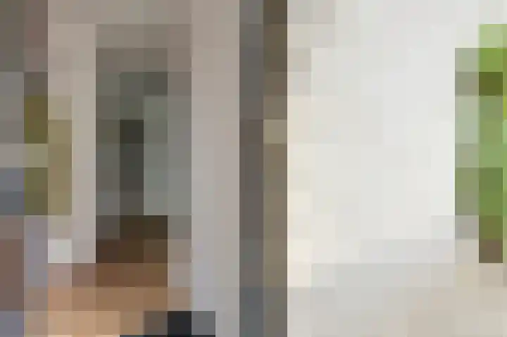 Groeneweide 1 Duiven thumbnail 9