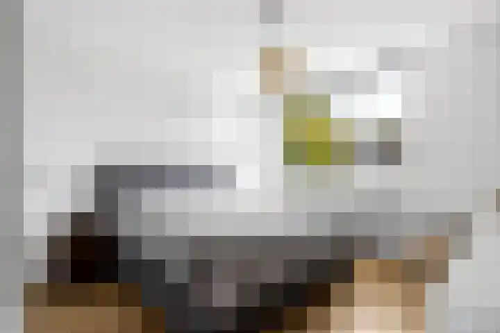 Groenewold 178 Deventer thumbnail 21
