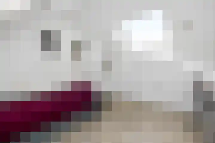 Groenewold 178 Deventer thumbnail 23