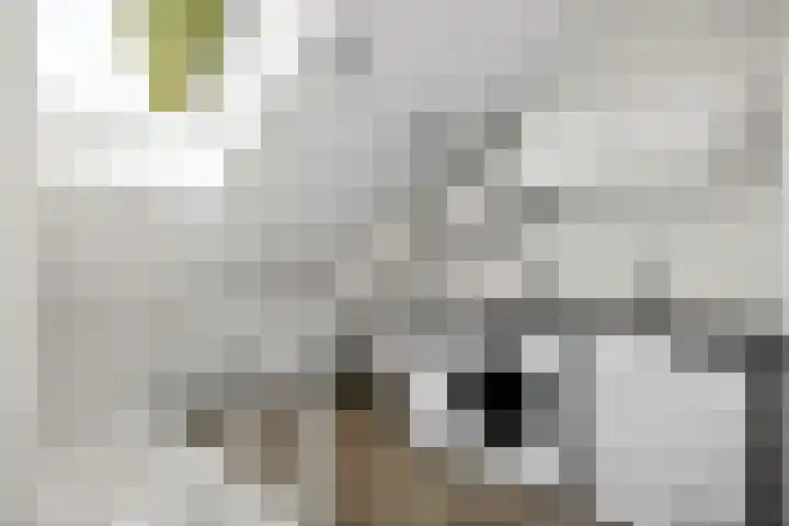 Groenewold 178 Deventer thumbnail 32