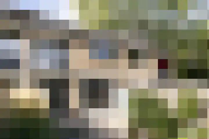 Groenewold 178 Deventer thumbnail 34