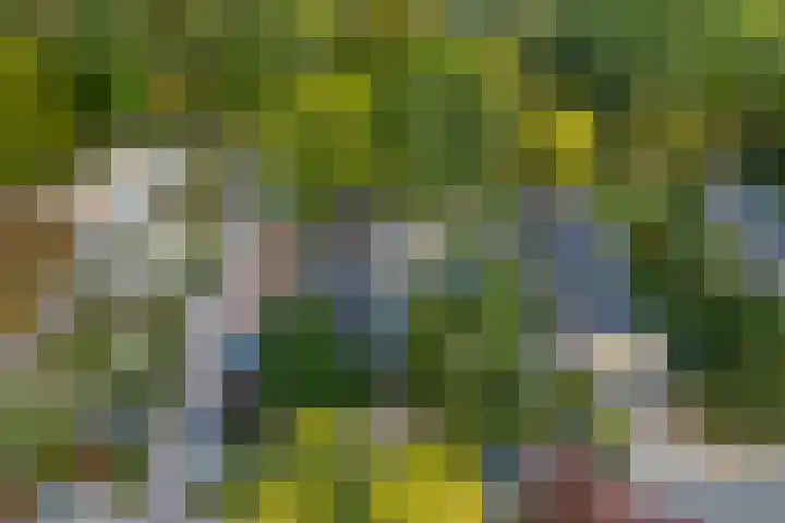 Groenewold 178 Deventer thumbnail 5