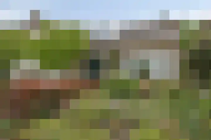 Groenewoud 10 Vessem