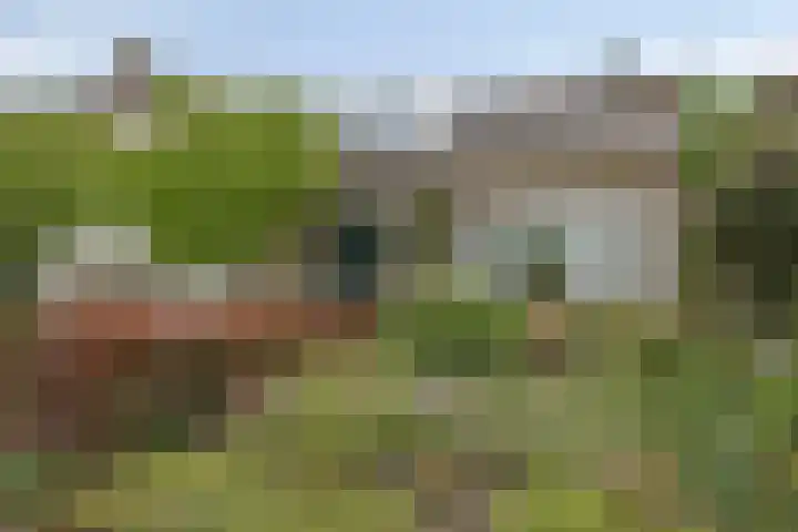 Groenewoud 10 Vessem thumbnail 34