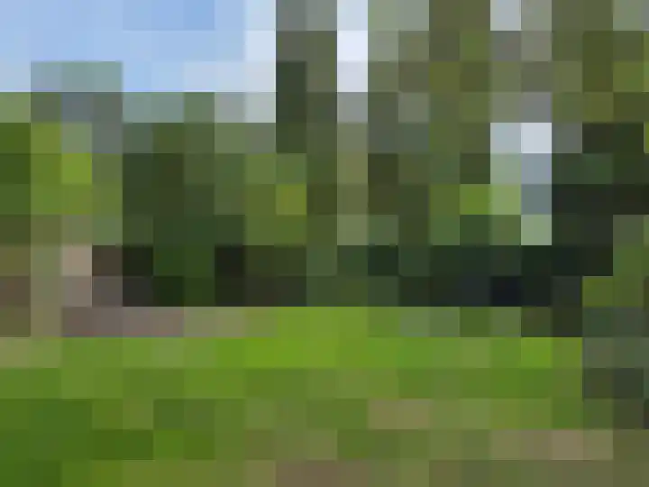 Groenewoud 10 Vessem thumbnail 39