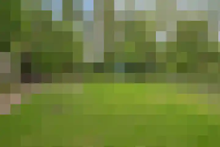 Groenewoud 10 Vessem thumbnail 40