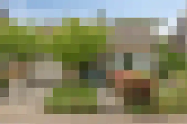 Groenewoud 10 Vessem thumbnail 42