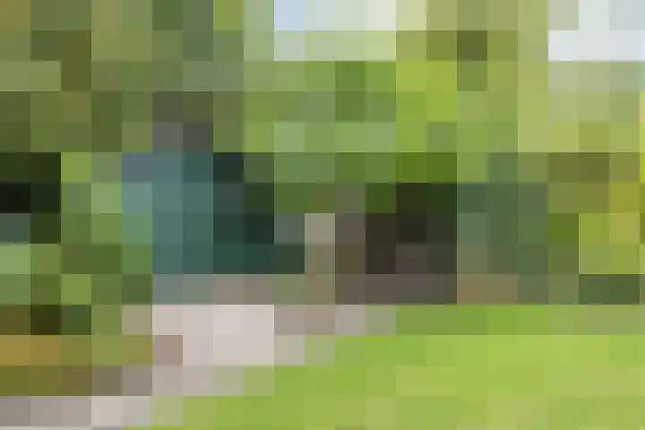 Groenewoud 10 Vessem thumbnail 5