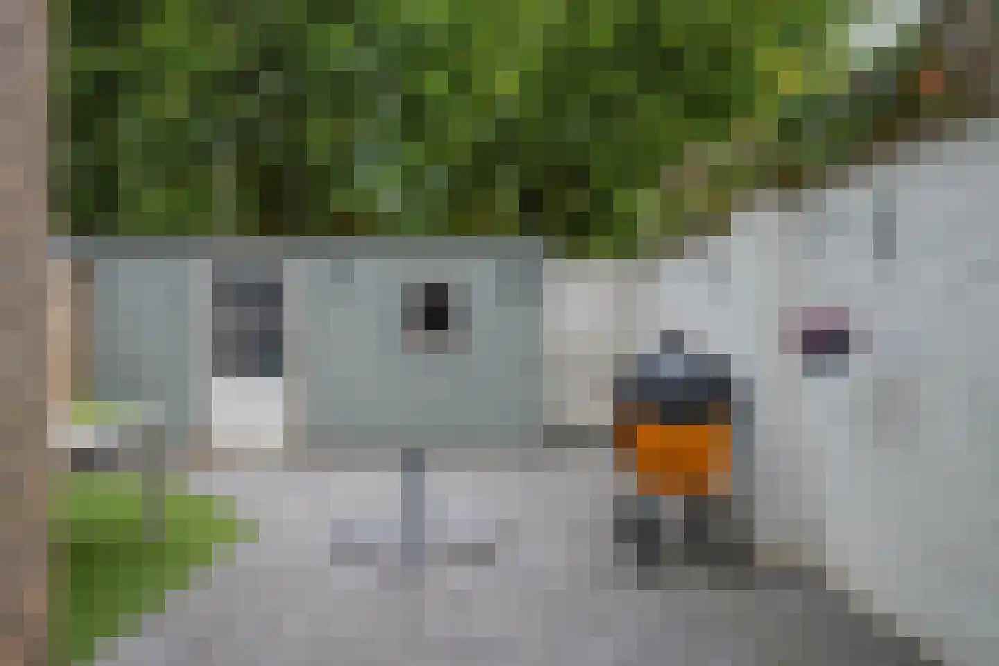 Groenewoud 14 Deurne thumbnail 29
