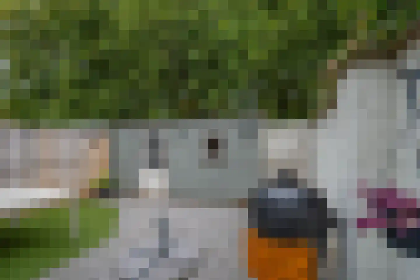 Groenewoud 14 Deurne thumbnail 4