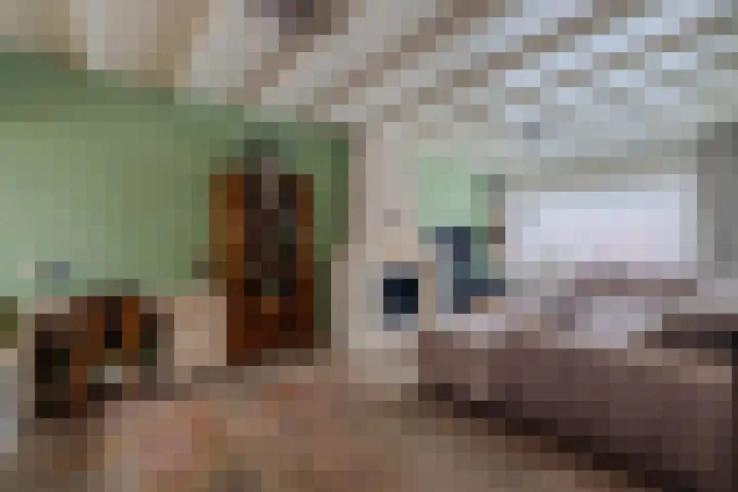 Groenewoud 14 Deurne thumbnail 6