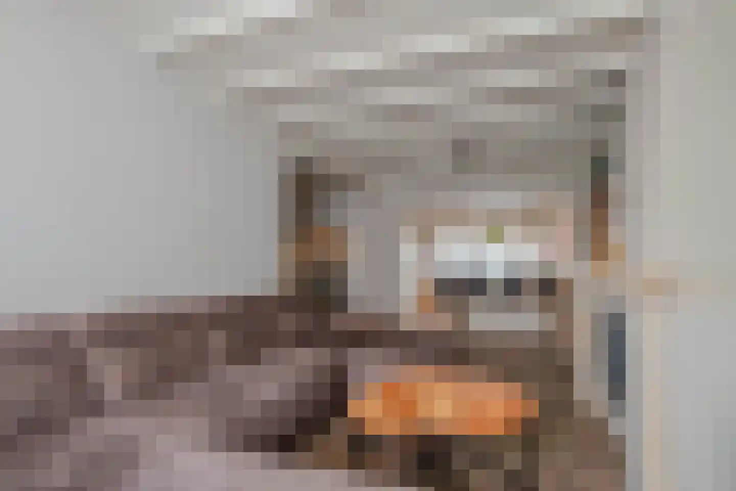 Groenewoud 14 Deurne thumbnail 9