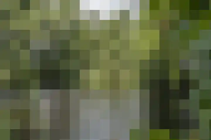 Groenewoud 18 Deurne thumbnail 13