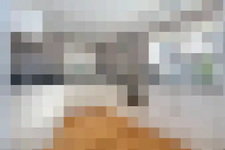Groenewoud 18 Deurne thumbnail 15