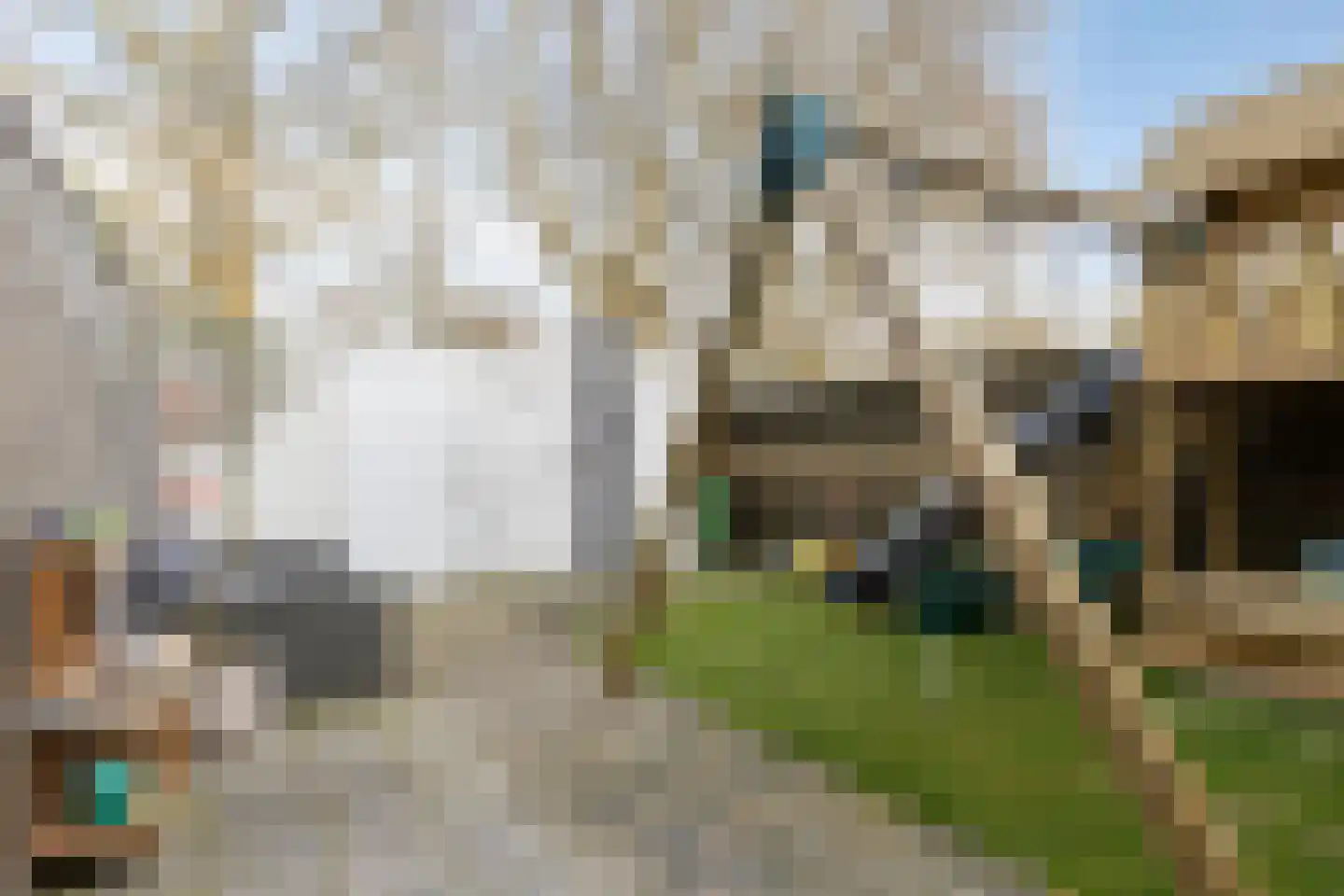 Groenewoud 18 Deurne thumbnail 29
