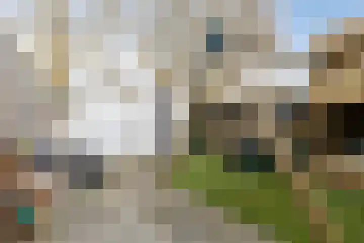 Groenewoud 18 Deurne thumbnail 29