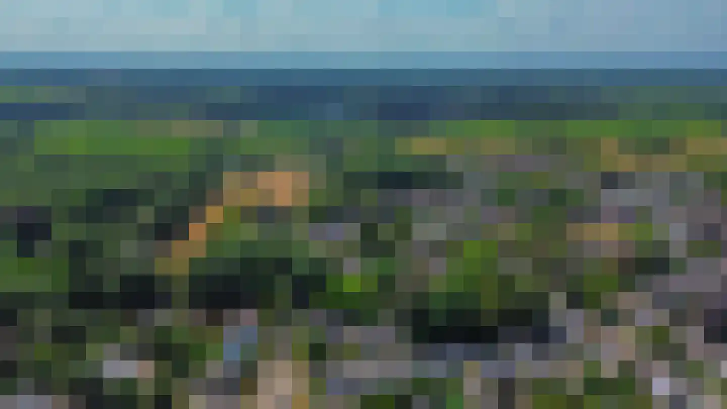 Groenewoud 18 Vessem thumbnail 103