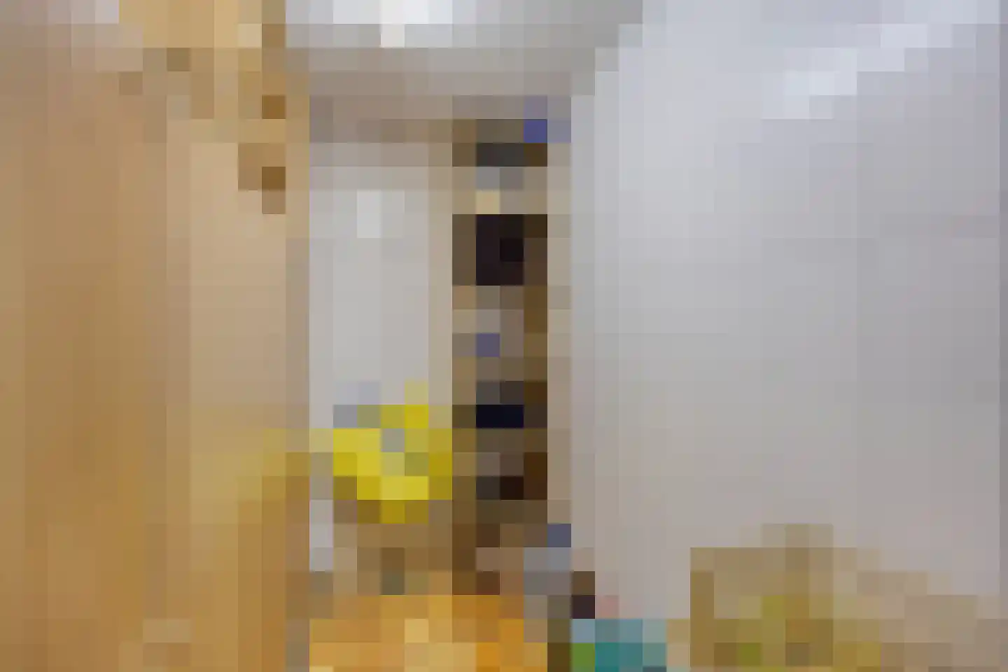 Groenewoud 18 Vessem thumbnail 22