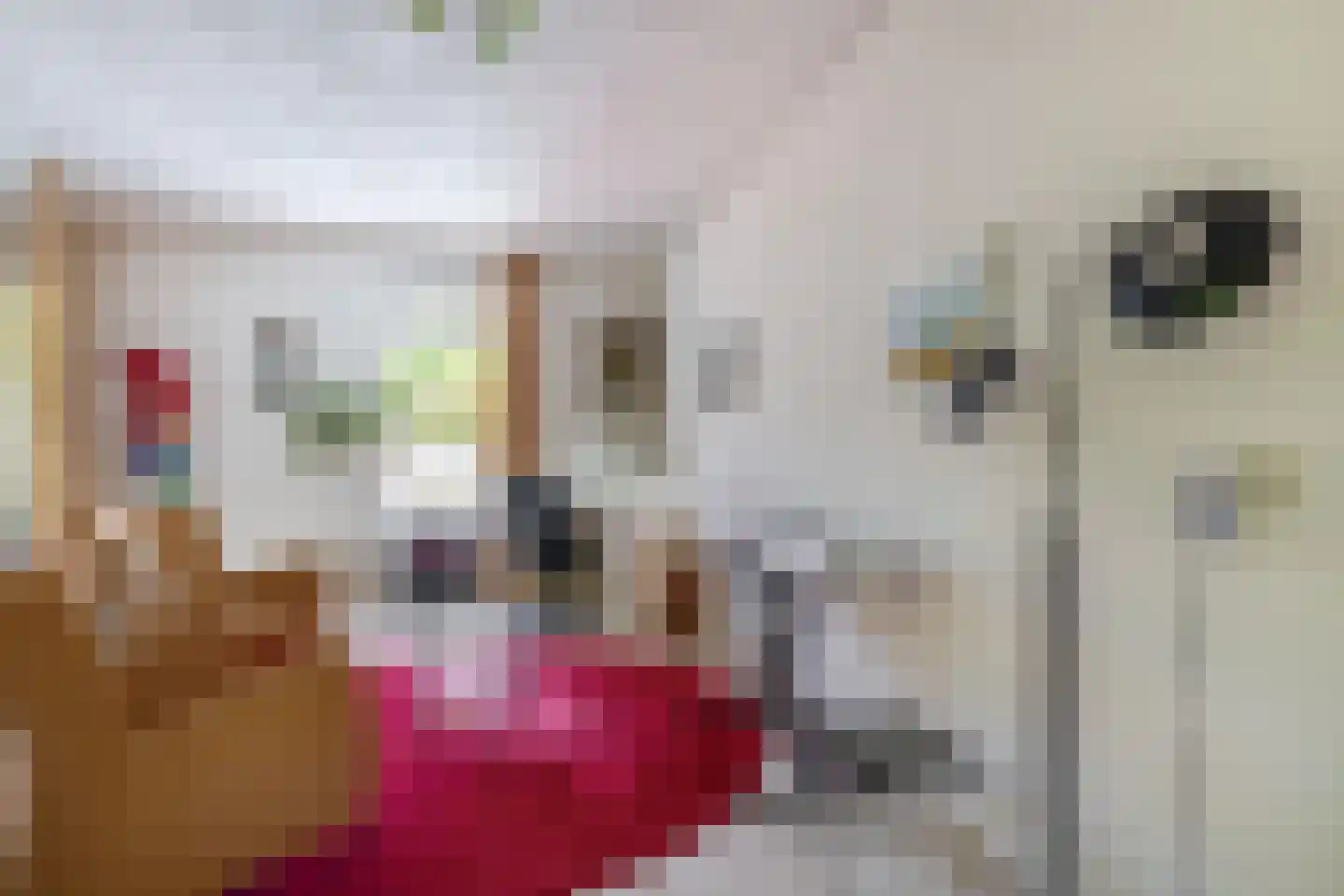 Groenewoud 18 Vessem thumbnail 37