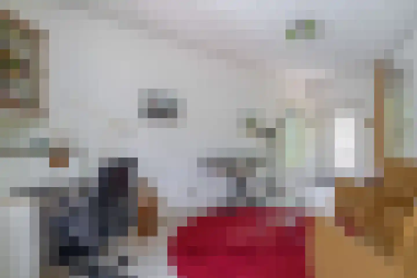 Groenewoud 18 Vessem thumbnail 38