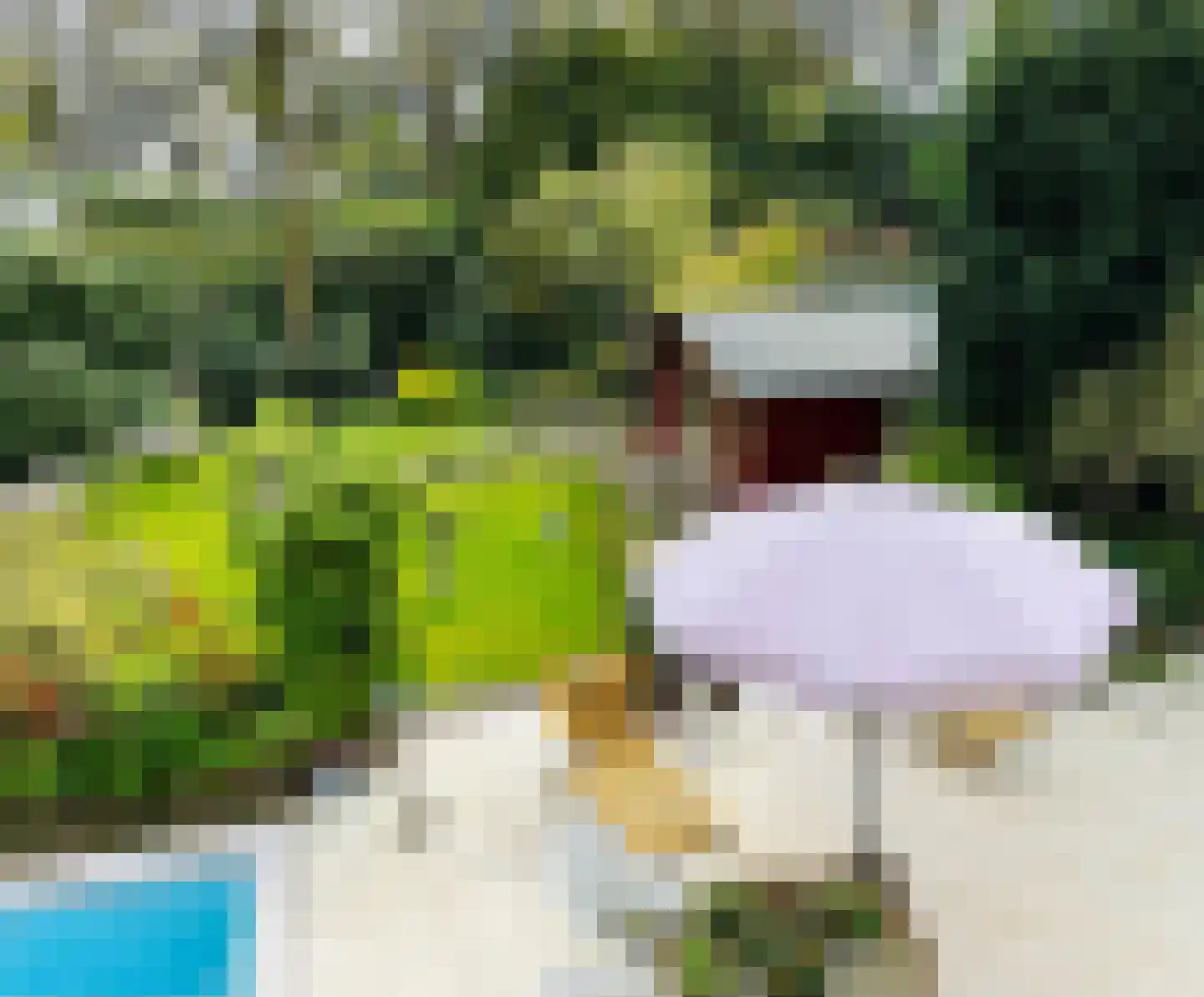 Groenewoud 18 Vessem thumbnail 40