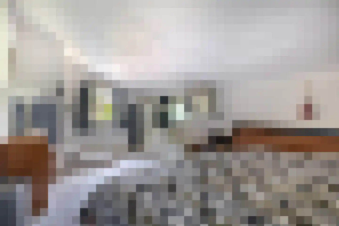 Groenewoud 18 Vessem thumbnail 43