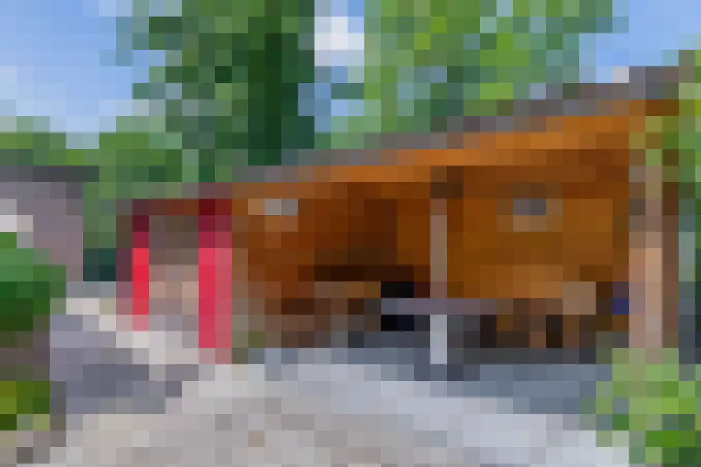 Groenewoud 18 Vessem thumbnail 65