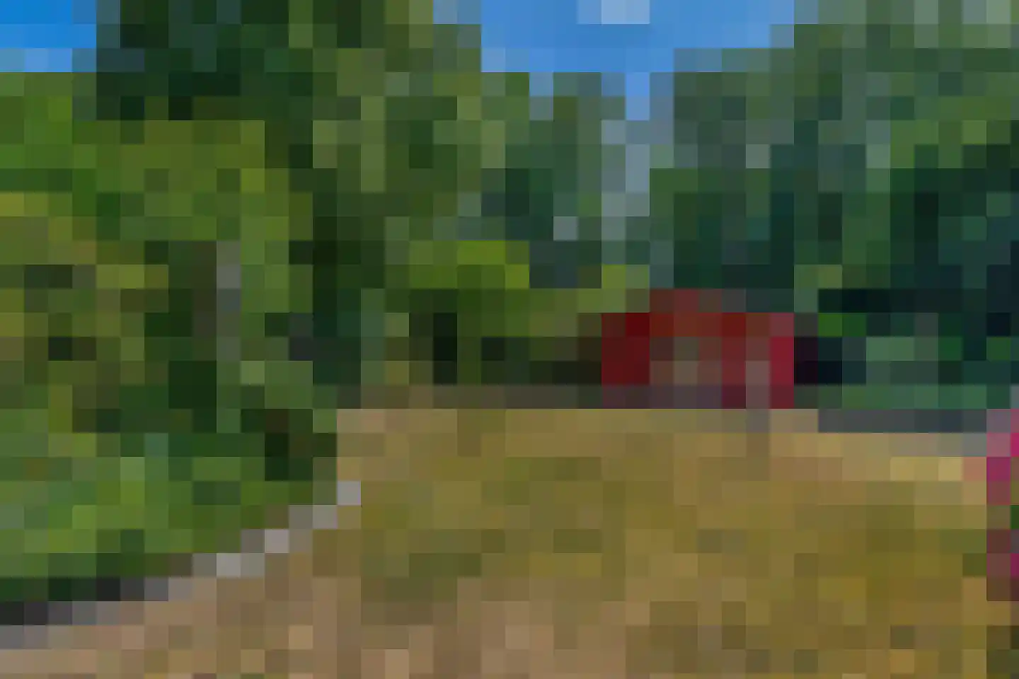Groenewoud 18 Vessem thumbnail 68