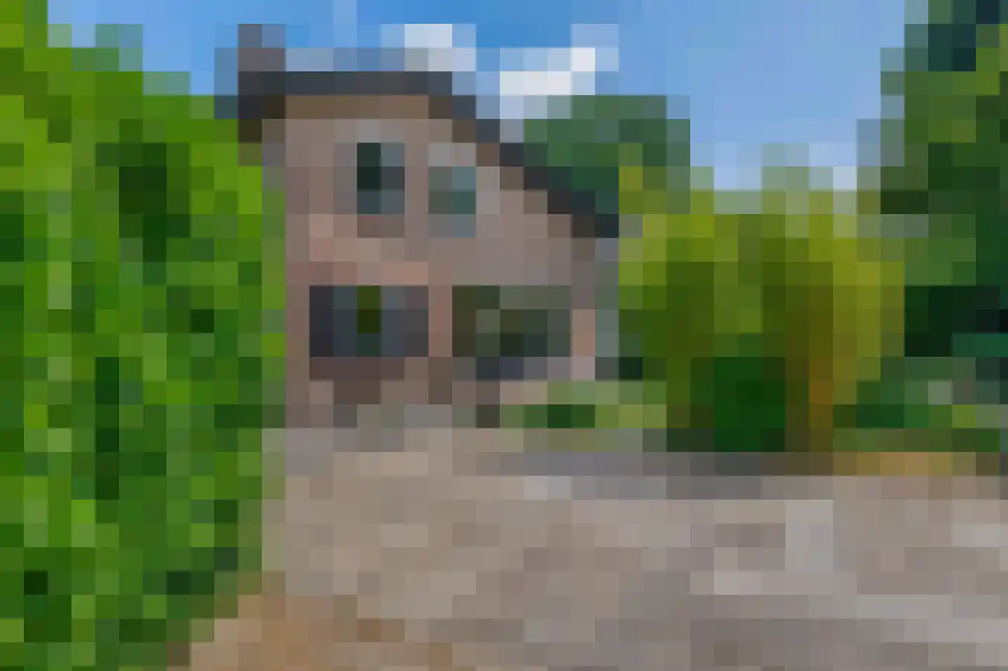 Groenewoud 18 Vessem thumbnail 76