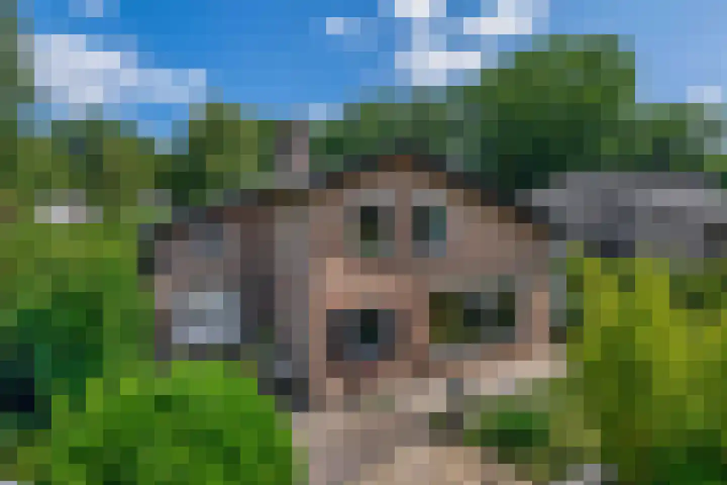 Groenewoud 18 Vessem thumbnail 77