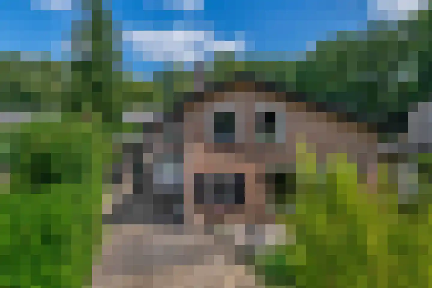 Groenewoud 18 Vessem thumbnail 78