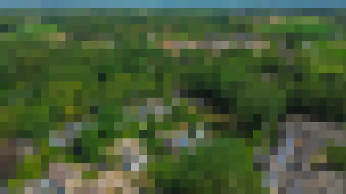 Groenewoud 18 Vessem thumbnail 86