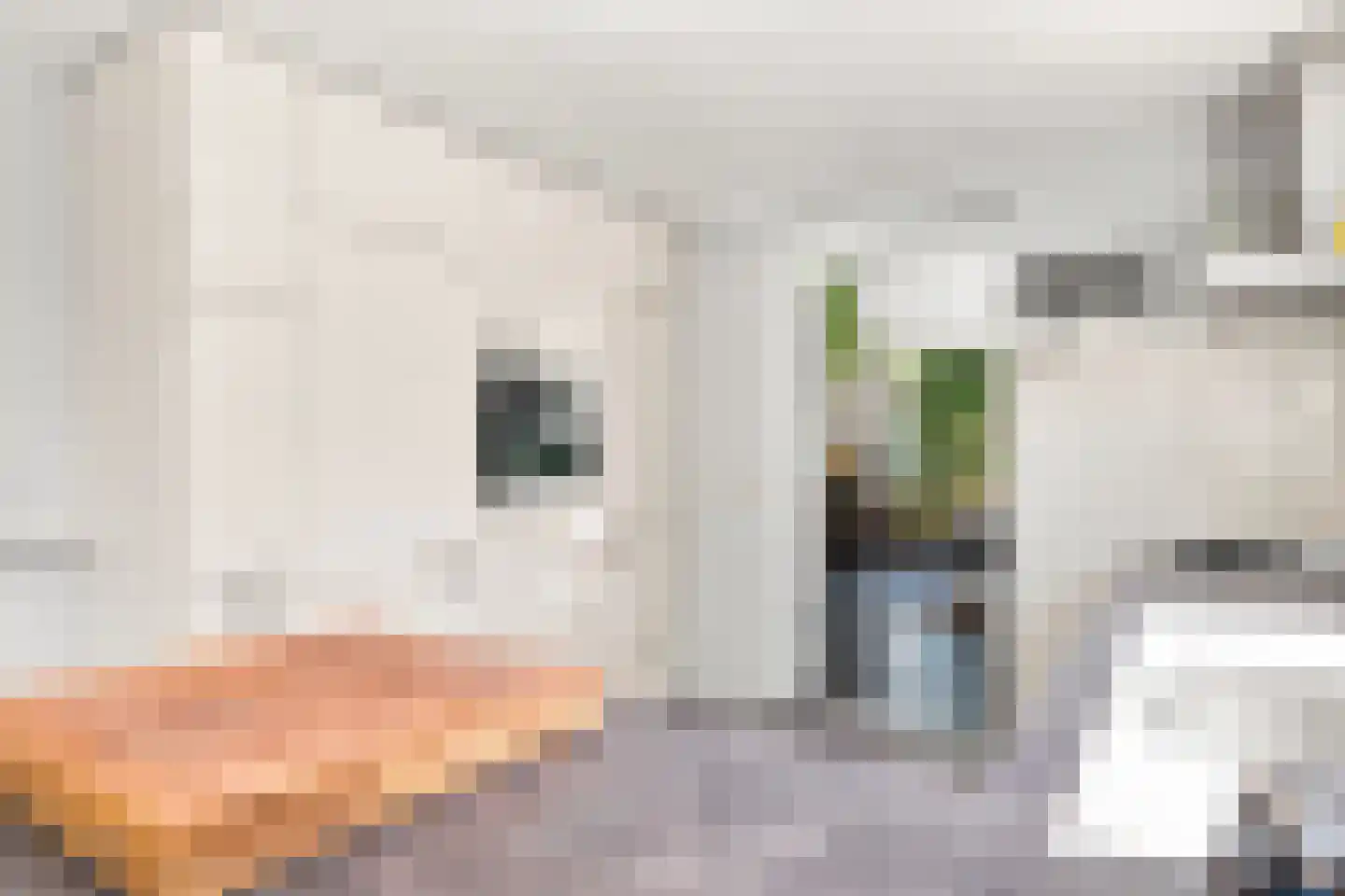 Groenewoud 2 Lithoijen thumbnail 12