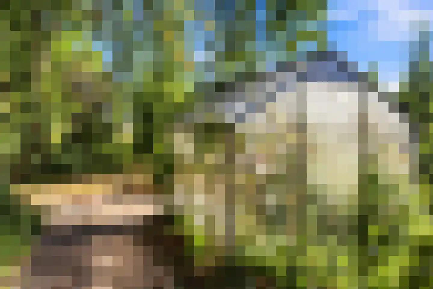 Groenewoud 2 Lithoijen thumbnail 30