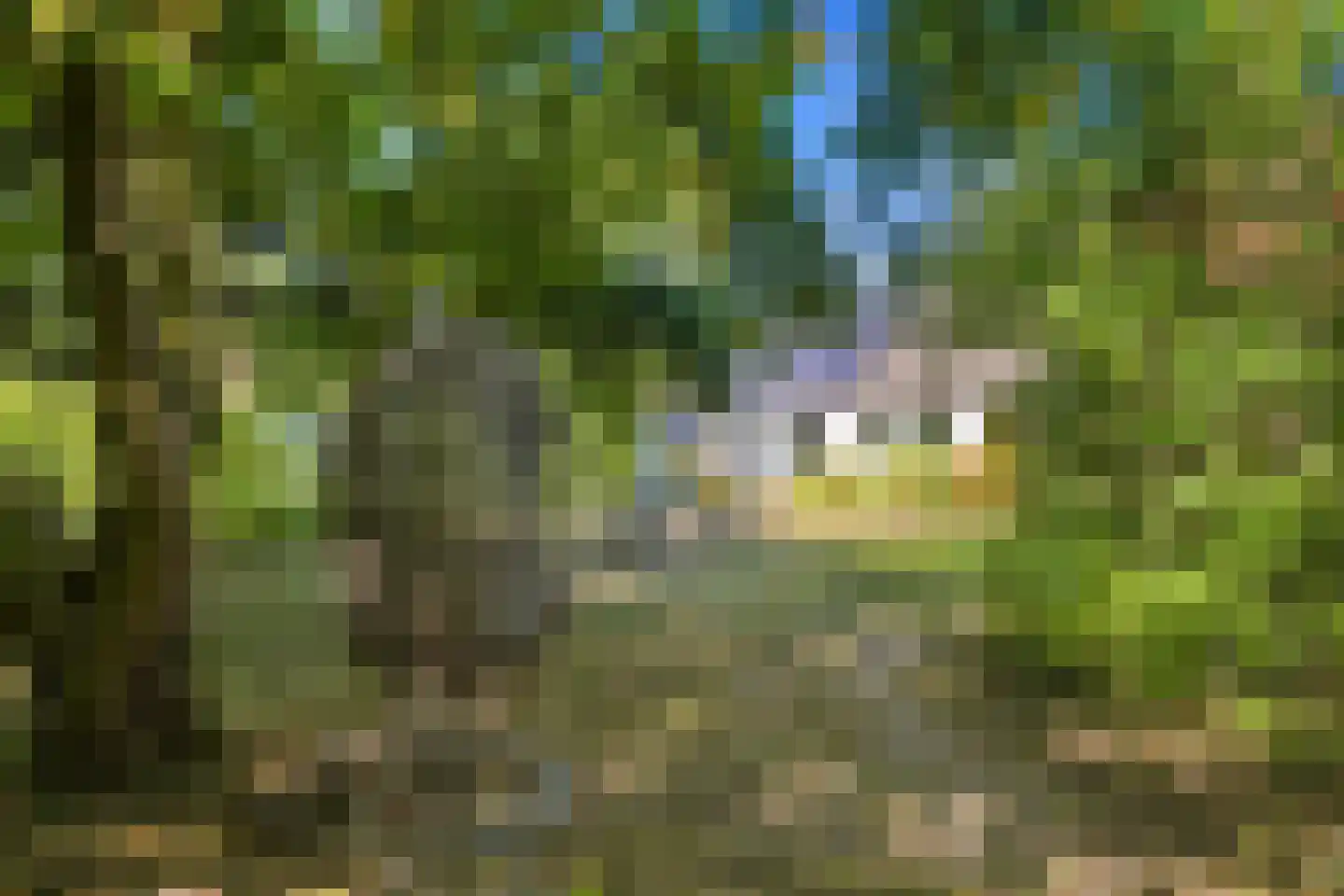 Groenewoud 2 Lithoijen thumbnail 31