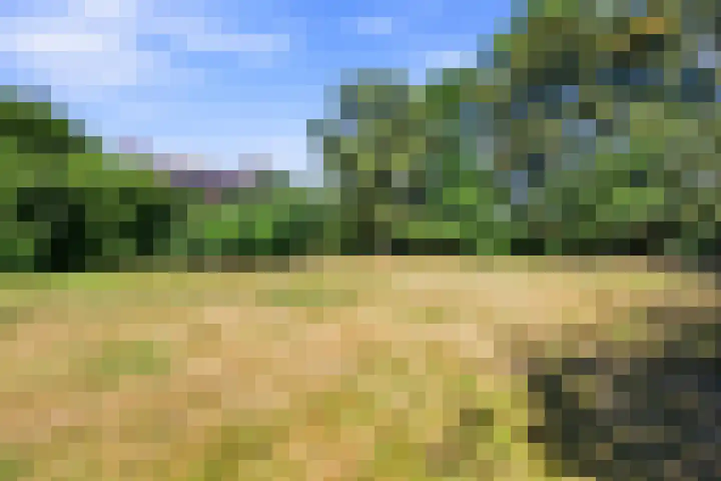 Groenewoud 2 Lithoijen thumbnail 33