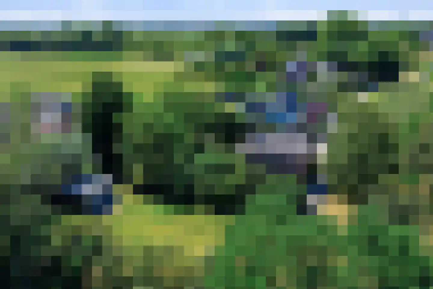 Groenewoud 2 Lithoijen thumbnail 37