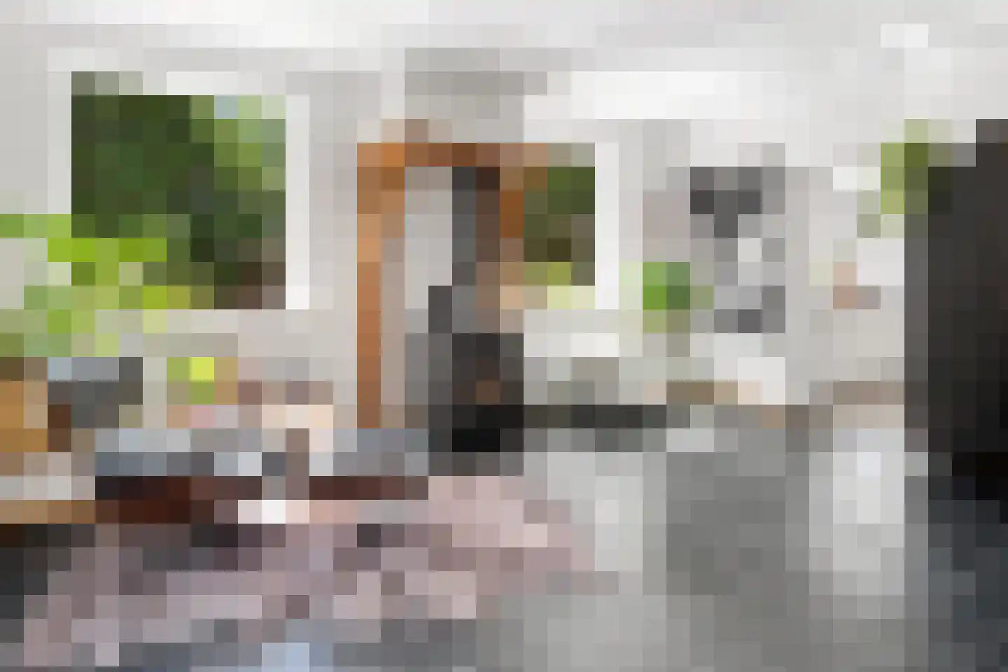Groenewoud 2 Lithoijen thumbnail 6